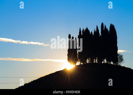 Hills panorama au coucher du soleil. cyprès sur la colline parlementaire. Paysage minimal Banque D'Images