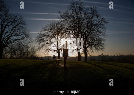 Silhouette d'une femme vue arrière d'un seul permanent par un banc dans un endroit calme avec un ciel dramatique et d'arbres. Banque D'Images