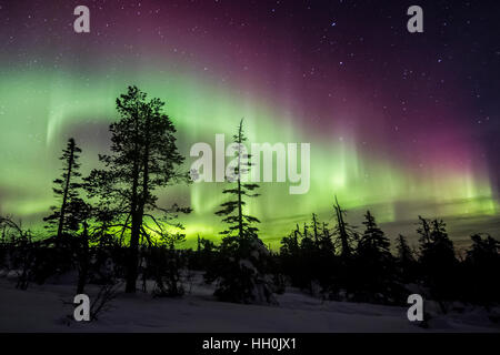 Northern Lights dans le parc national de Riisitunturi, Finlande Banque D'Images