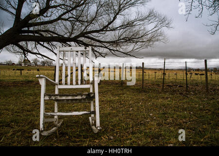 Une vieille chaise à bascule patiné à l'extérieur assis seul près d'une ferme pâturage avec des bovins dans l'arrière-plan. Banque D'Images