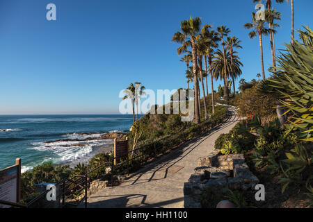 Heisler Park garden le long de la côte de Laguna Beach, Californie Banque D'Images