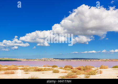 Le lac de sel rose de l'Masazirgol en Azerbaïdjan - l'un des huit lacs dans le monde rose. Banque D'Images