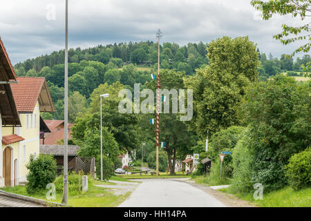 Maypole dans grueb, un petit village près de Grafenau dans la forêt bavaroise Banque D'Images