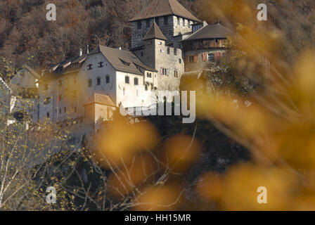 La Maison princière du Liechtenstein, Château Vaduz FL Banque D'Images