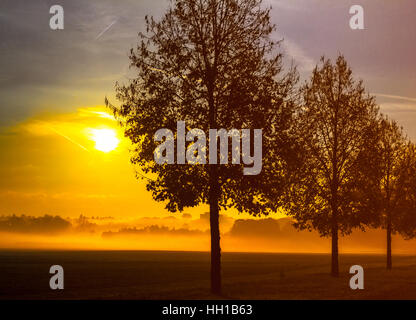 Fine art automne couleur image extérieure d'un glorieux automne doré brumeux épique le lever du soleil sur un paysage rural paysage avec des arbres et le brouillard et le soleil Banque D'Images