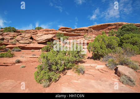 'Île de la sky' du Parc Narional Canyonlands dans l'Utah, USA Banque D'Images