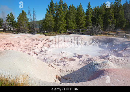 Abaisser geyser basin dans le parc national de Yellowstone, États-Unis Banque D'Images