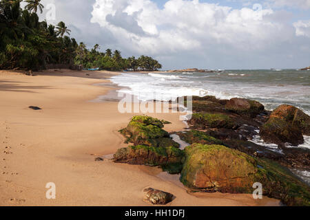 Plage de sable avec des palmiers et des rochers, Beruwela, Sri Lanka, Province de l'Ouest Banque D'Images