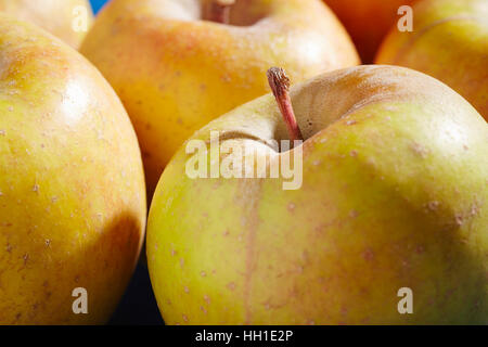 Goldrush Pommes, une variété d'héritage de la Pennsylvanie, USA Banque D'Images