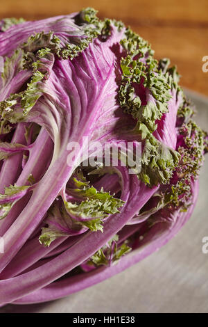 Mauve crue, Kale, un légume d'hiver saison Banque D'Images