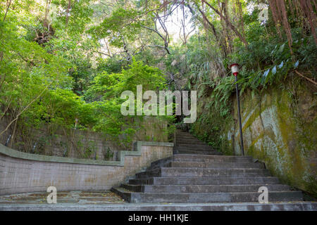 La nature des escaliers et sentiers dans l'Université de Taipei, Yang Ming Banque D'Images