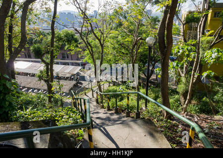 La nature des escaliers et sentiers dans l'Université de Taipei, Yang Ming Banque D'Images