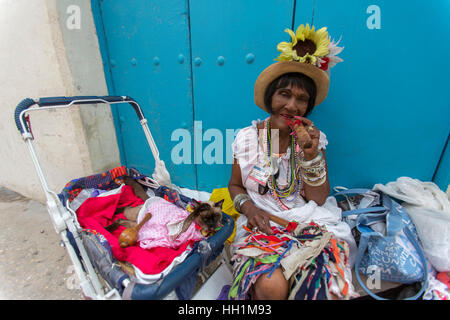 La femme cubaine avec chat siamois dans la poussette dans la Vieille Havane Banque D'Images