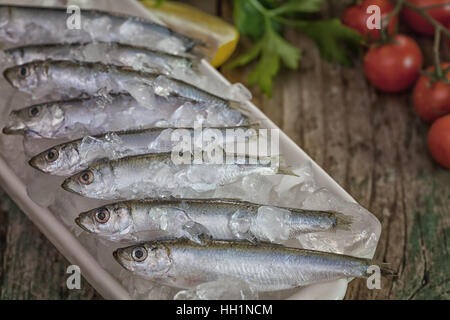 Sardines fraîches prêt pour griller Banque D'Images