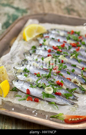 Sardines marinées avec des herbes fraîches Banque D'Images