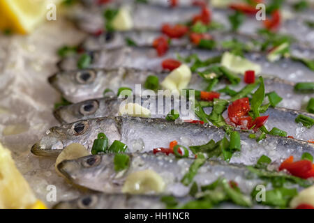 Sardines marinées avec des herbes fraîches Banque D'Images