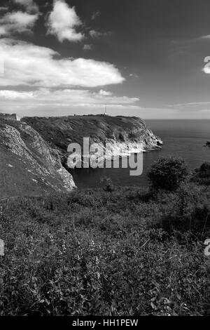 L'été, les falaises à Berry Head National Nature Reserve, Torbay, French Riviera, comté de Devon, England, UK Banque D'Images