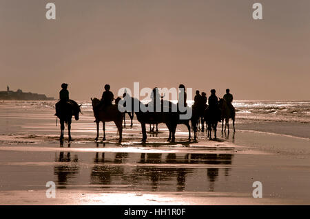 Le tourisme équestre sur la plage, le Parc Naturel de Donana, Matalascañas, province de Huelva, Andalousie, Espagne, Europe Banque D'Images