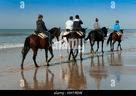 Le tourisme équestre sur la plage, le Parc Naturel de Donana, Matalascañas, province de Huelva, Andalousie, Espagne, Europe Banque D'Images