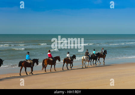 Le tourisme équestre sur la plage, le Parc Naturel de Donana, Matalascañas, province de Huelva, Andalousie, Espagne, Europe Banque D'Images