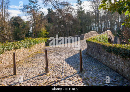 Brig O doon à Alloway ayrshire. L'Écosse a été rendu célèbre par le poème de Robert Burns Tam O Shanter Banque D'Images