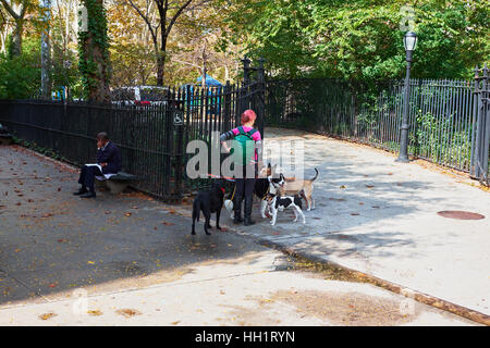 Femme dog Walker à l'entrée de St Vartan's Park sur la 1e Avenue Banque D'Images