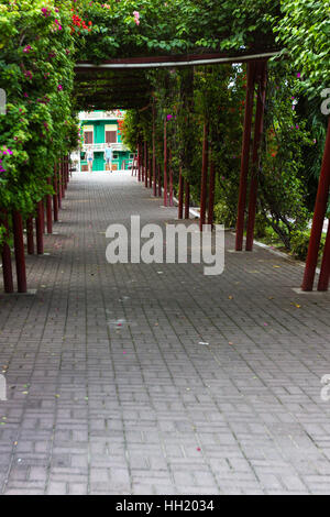 La ville de Panama, Panama - Juin 08 : Un tunnel naturel vert entrant dans la vieille partie de la ville, Casco Viejo. 08 juin 2016, Panama City, Panama. Banque D'Images