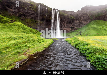 Seljalandsfoss est l'un des plus connus de cascades d'Islande. La cascade tombe de 60 m et fait partie de la rivière. Seljalands Banque D'Images