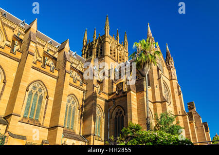 La Cathédrale St Mary de Sydney - Australie Banque D'Images