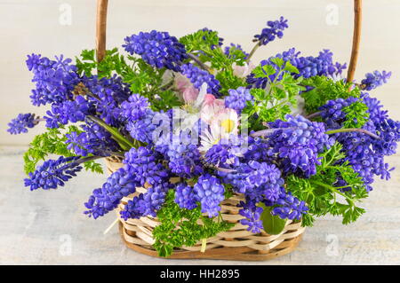 Bluebell flowers bouquet dans un panier en osier Banque D'Images