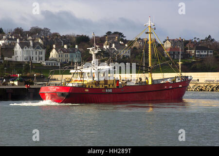 Le chalutier Maria Lena de Kilkeel manouvres à son poste à quai dans le port de Bangor Northern Ireland sur une agréable journée d'hiver Banque D'Images