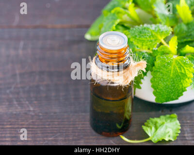 L'huile essentielle de menthe ou de mélisse Banque D'Images