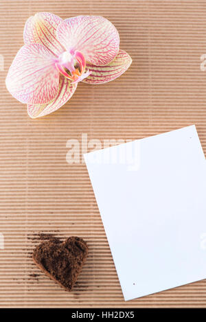 Café moulu, d'orchidées et de décoration amour lettre sur fond de bois Banque D'Images