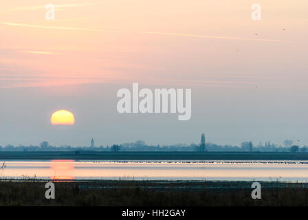 Lange Lacke Apetlon : Lake ; coucher du soleil en face de Apetlon avec flying grey ('Gansl-Strich') - Parc national de Neusiedler See-Seewinkel, Lac Banque D'Images