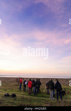 Lange Lacke Apetlon : Lake ; coucher du soleil ; Observation d'ornithologues amateurs, vol d'oies sauvages ('Gansl-Strich') - Parc national de Neusiedler See-Seewinkel, Neusiedler Se Banque D'Images