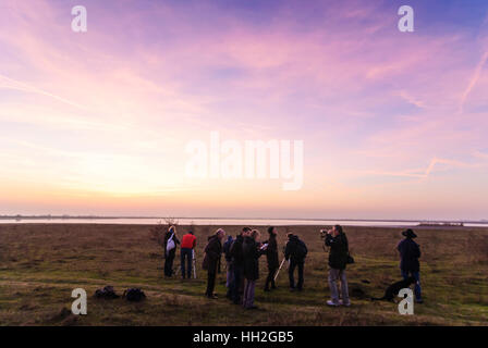 Lange Lacke Apetlon : Lake ; coucher du soleil ; Observation d'ornithologues amateurs, vol d'oies sauvages ('Gansl-Strich') - Parc national de Neusiedler See-Seewinkel, Neusiedler Se Banque D'Images