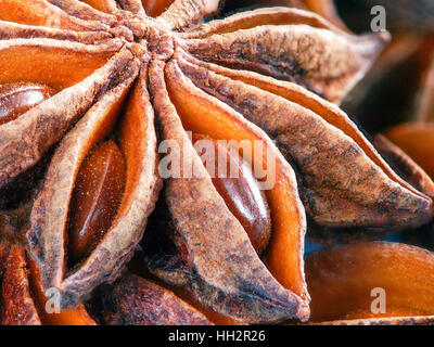 L'anis étoilé extreme close up Banque D'Images