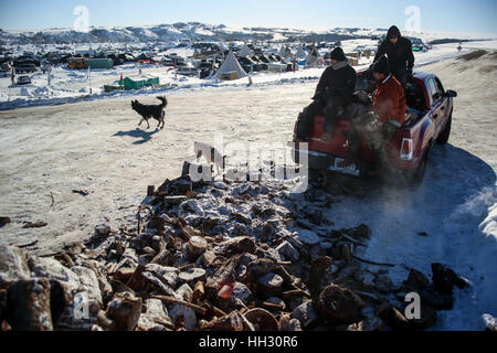 Dakota du Nord, USA. 15 Jan, 2017. Les militants de l'environnement y couper du bois de charge dans le lit d'un camion à l'Oceti Oyate Camp à Cannon Ball, dans le Dakota du Nord. Les écologistes ont fait du camping sur le site situé sur le corps du génie de l'Armée de terre pendant des mois pour protester contre la construction du pipe-line, mais accès Dakota sur plan du site mobile de nouveau dans les semaines à venir dans l'article Rock Indian Reservation terre en raison d'inondations. Crédit : Joel Angel Juarez/ZUMA/Alamy Fil Live News Banque D'Images