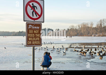 Burnaby, Canada. 15 Jan, 2017. En dépit des signes d'avertissement affichés, beaucoup de gens peut être vu du patin à glace sur un dimanche après-midi sur la surface gelée du lac Deer à Burnaby. Le Grand Vancouver a connu une période de six semaines de subzero, météo la plus longue durée de temps glacial depuis l'hiver 2008-2009. Crédit : Maria Janicki/Alamy Live News Banque D'Images