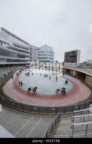 Aichi, Japon. 14 Jan, 2017. Vue générale, les courses de chevaux : Les chevaux sont dirigées dans le paddock dans la neige avant le 3R Chukyo à Chukyo Racecourse à Aichi, Japon . Credit : Eiichi Yamane/AFLO/Alamy Live News Banque D'Images