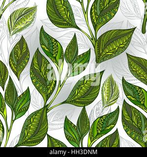 Profil de transparente à motifs de feuilles de thé vert et de pousses sur un fond clair. Plateau design. Illustration de Vecteur