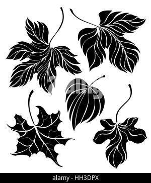 Ensemble de peinture artistique, isolé, noir, silhouettes de feuilles sur un fond blanc. Des modèles. Style de tatouage. Faites à la main. Esquisse Illustration de Vecteur