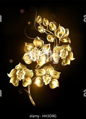 Artistiquement, peint, doré bijoux mousseux orchid sur fond noir. Conception avec orchidées Illustration de Vecteur