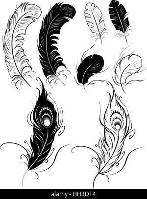 Plumes peintes artistiquement sur un fond blanc. Illustration de Vecteur