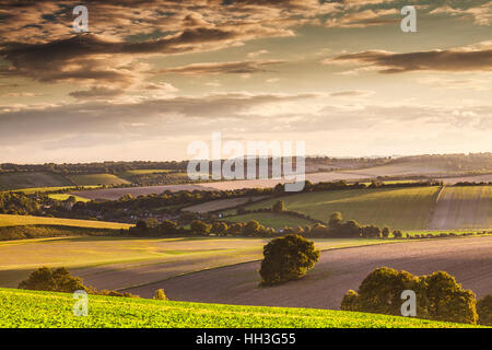 Coucher de soleil sur la North Wessex Downs dans le Wiltshire. Banque D'Images