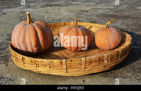 Les trois citrouilles Banque D'Images