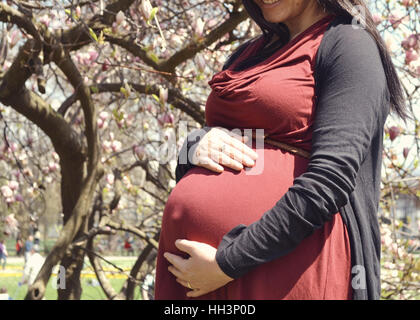 Pregnant Woman Holding Belly Banque D'Images