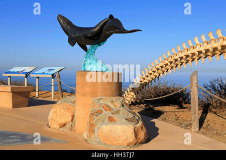 Donnent sur des baleines en format Cabrillo National Monument,Point Loma, San Diego, Californie, USA, Amérique du Nord Banque D'Images