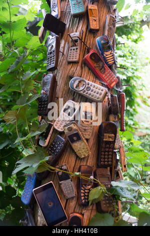 Anciens téléphones portables cassés clouée à l'arbre Banque D'Images