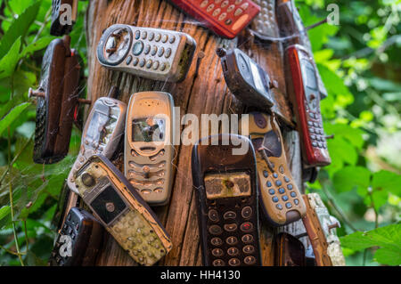 Anciens téléphones portables cassés clouée à l'arbre Banque D'Images